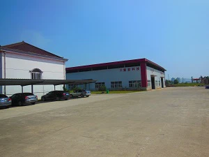 Company real scene